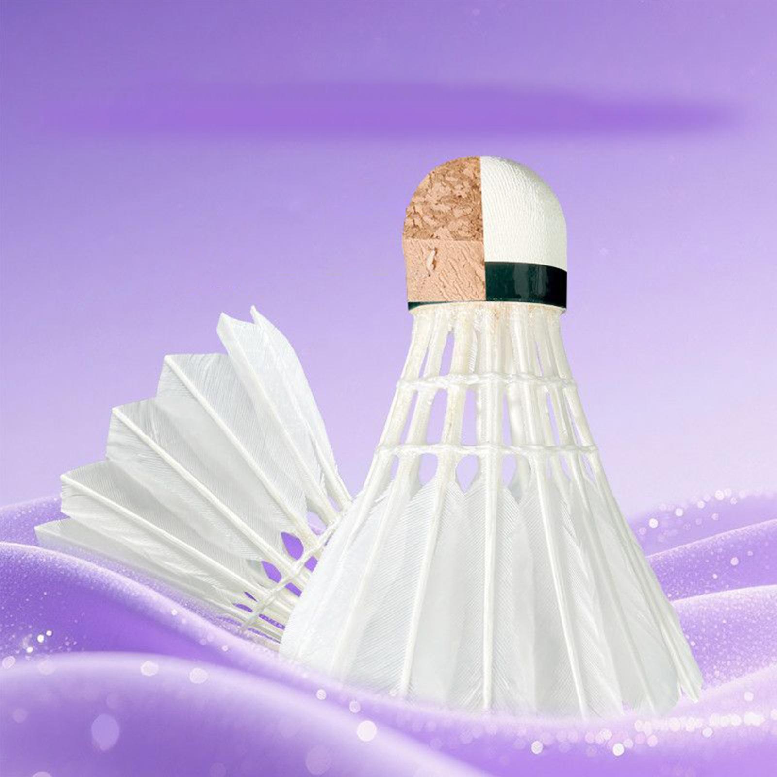Badminton Shuttlecocks Outdoor - Badminton Youtube 评论和价格