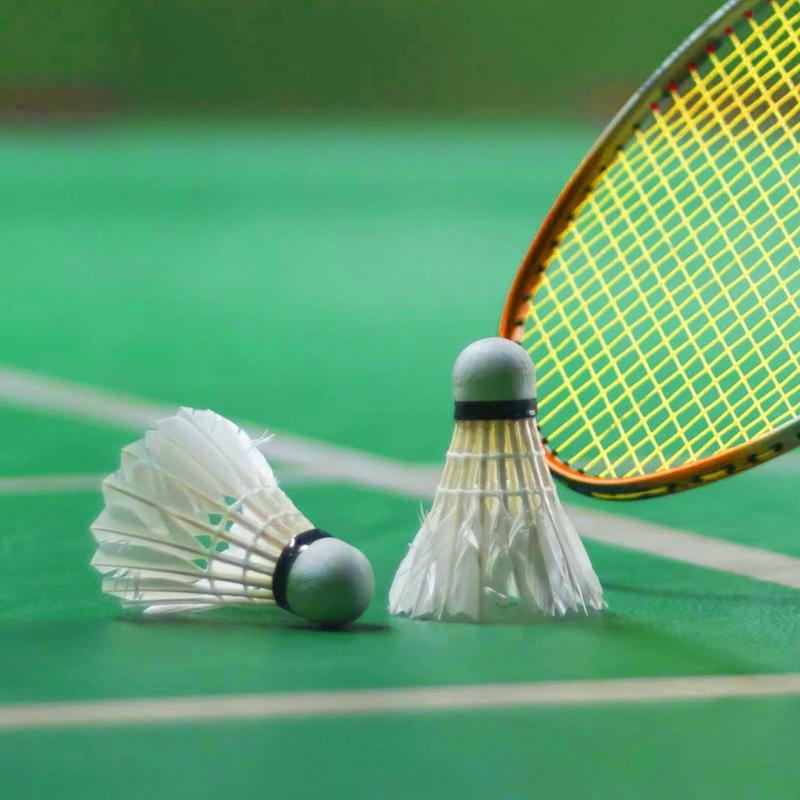 Badminton Ball High Speed Prof - Badminton Raket 评论和价格
