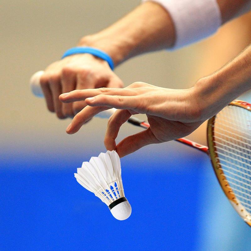 Badminton Ball High Speed Prof - Badminton Raket 评论和价格