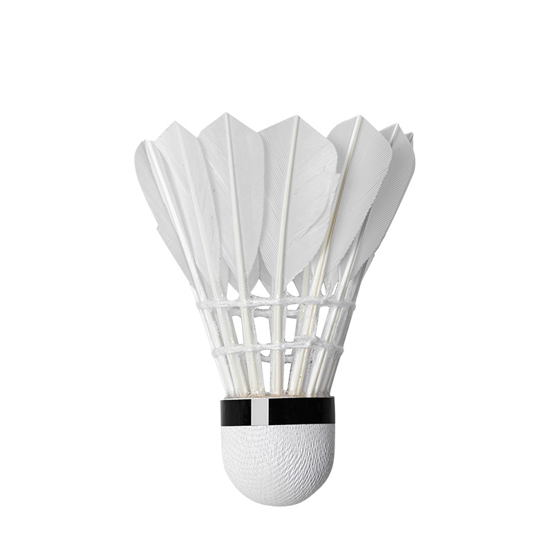 3/6/12Pcs 16 Feather Advanced  - Badminton Youtube 评论和价格