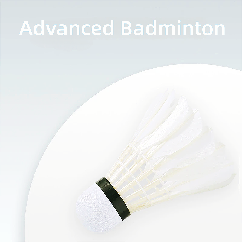 3/6/12Pcs 16 Feather Advanced  - Badminton Youtube 评论和价格